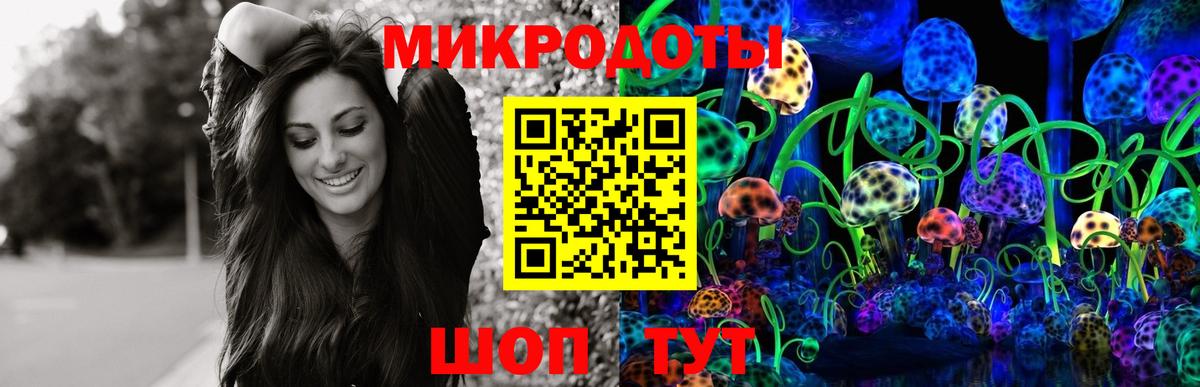 Саяногорск  Галлюциногенные грибы Psilocybe  Вход с VPN 